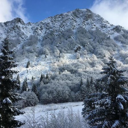 Val Di Luce - Delizioso Appartamento 6 Posti Letto - Accesso Diretto Alle Piste Da Sci อาเบโตเน ภายนอก รูปภาพ