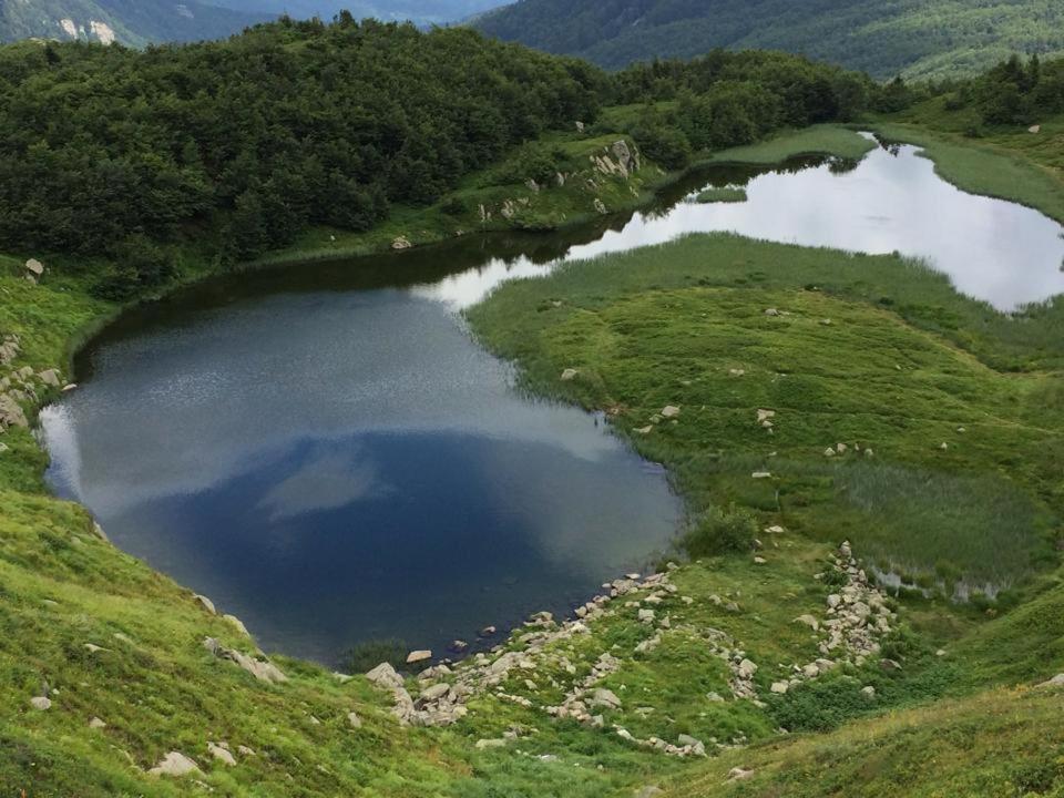 Val Di Luce - Delizioso Appartamento 6 Posti Letto - Accesso Diretto Alle Piste Da Sci อาเบโตเน ภายนอก รูปภาพ