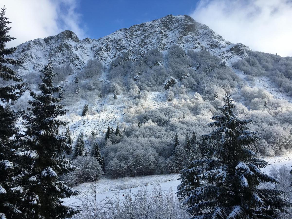 Val Di Luce - Delizioso Appartamento 6 Posti Letto - Accesso Diretto Alle Piste Da Sci อาเบโตเน ภายนอก รูปภาพ
