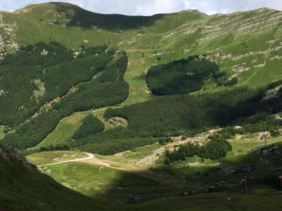 Val Di Luce - Delizioso Appartamento 6 Posti Letto - Accesso Diretto Alle Piste Da Sci อาเบโตเน ภายนอก รูปภาพ